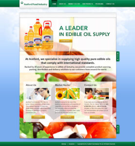 aceford.com.my